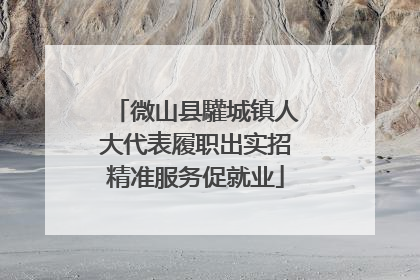 微山县驩城镇人大代表履职出实招精准服务促就业