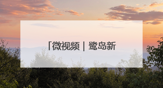 微视频｜鹭岛新篇 向海而歌