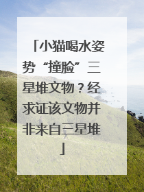 小猫喝水姿势“撞脸”三星堆文物？经求证该文物并非来自三星堆