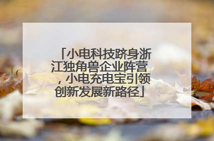 小电科技跻身浙江独角兽企业阵营，小电充电宝引领创新发展新路径