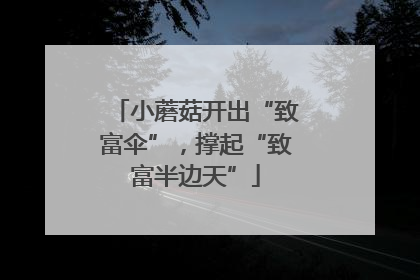 小蘑菇开出“致富伞”，撑起“致富半边天”