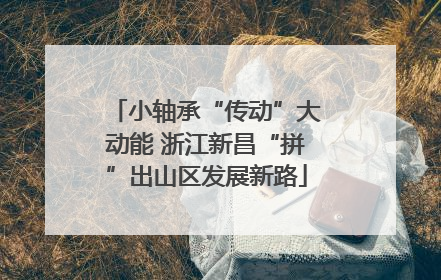 小轴承“传动”大动能 浙江新昌“拼”出山区发展新路