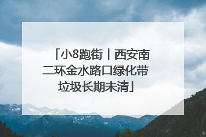 小8跑街丨西安南二环金水路口绿化带垃圾长期未清