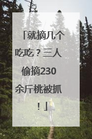 就摘几个吃吃？三人偷摘230余斤桃被抓！