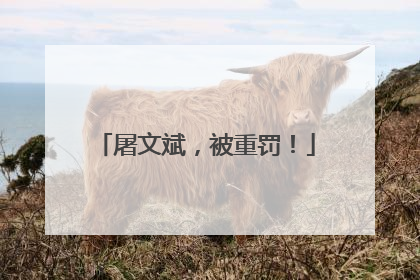 屠文斌，被重罚！