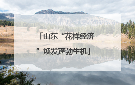 山东“花样经济”焕发蓬勃生机