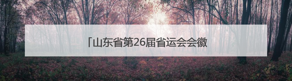 山东省第26届省运会会徽、吉祥物、主题口号发布