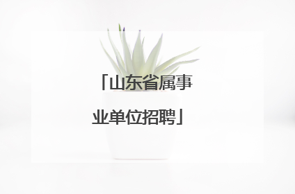 山东省属事业单位招聘