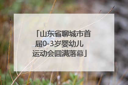 山东省聊城市首届0-3岁婴幼儿运动会圆满落幕