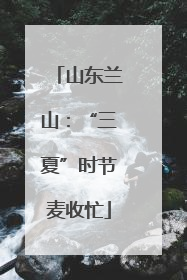 山东兰山：“三夏”时节麦收忙