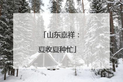 山东嘉祥：夏收夏种忙