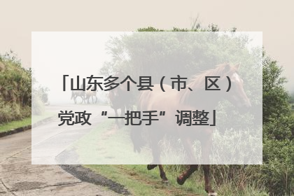 山东多个县（市、区）党政“一把手”调整