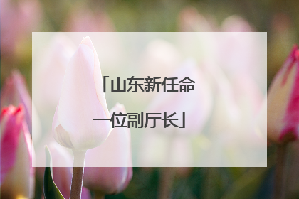 山东新任命一位副厅长