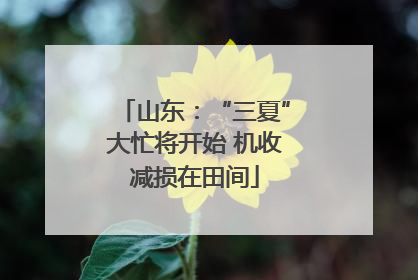 山东：“三夏”大忙将开始 机收减损在田间
