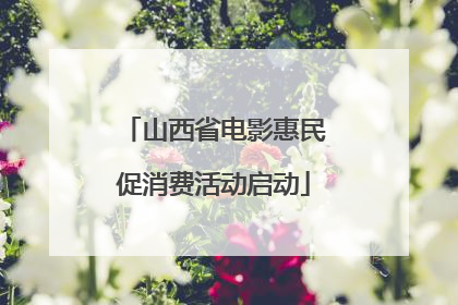 山西省电影惠民促消费活动启动