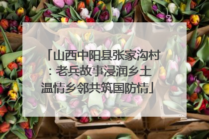 山西中阳县张家沟村：老兵故事浸润乡土 温情乡邻共筑国防情