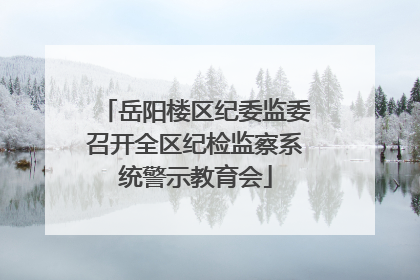 岳阳楼区纪委监委召开全区纪检监察系统警示教育会