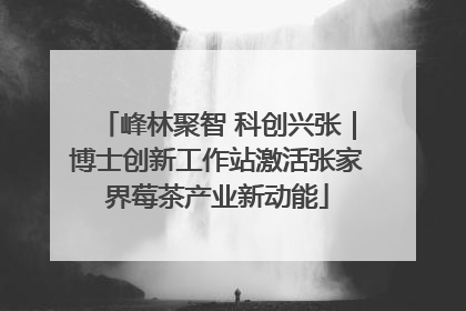 峰林聚智 科创兴张｜博士创新工作站激活张家界莓茶产业新动能