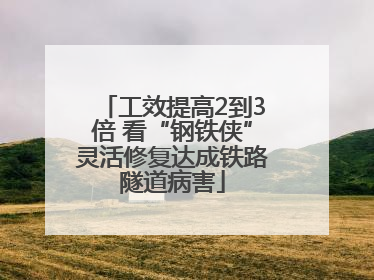 工效提高2到3倍 看“钢铁侠”灵活修复达成铁路隧道病害