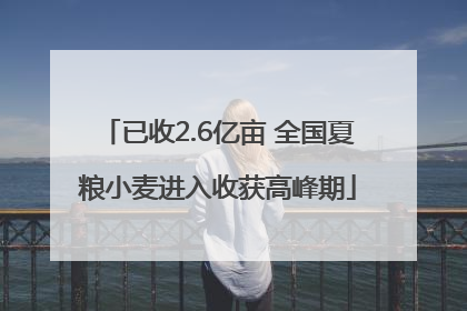 已收2.6亿亩 全国夏粮小麦进入收获高峰期