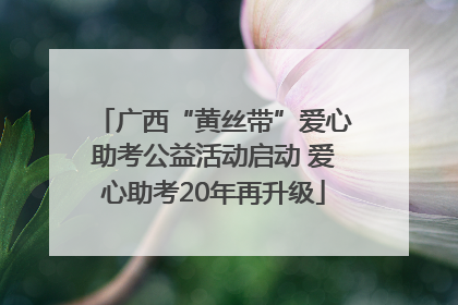 广西“黄丝带”爱心助考公益活动启动 爱心助考20年再升级