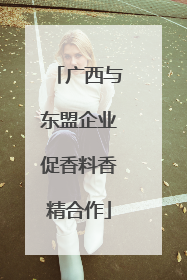 广西与东盟企业促香料香精合作