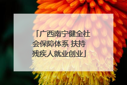 广西南宁健全社会保障体系 扶持残疾人就业创业