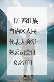 广西壮族自治区人民代表大会常务委员会任免名单