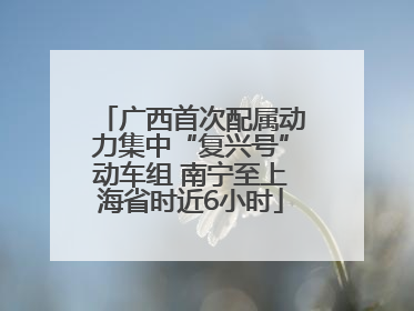 广西首次配属动力集中“复兴号”动车组 南宁至上海省时近6小时