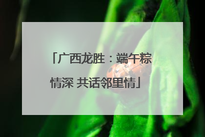 广西龙胜：端午粽情深 共话邻里情