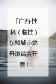 广西·桂林（临桂）东盟城市龙舟邀请赛开赛