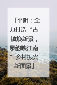 平阴：全力打造“古镇焕新景，泉韵映江南”乡村振兴新图景
