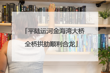 平陆运河金海湾大桥全桥拱肋顺利合龙