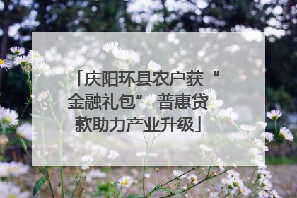 庆阳环县农户获“金融礼包” 普惠贷款助力产业升级