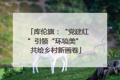 库伦旗：“党建红”引领“环境美” 共绘乡村新画卷