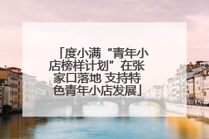 度小满“青年小店榜样计划”在张家口落地 支持特色青年小店发展
