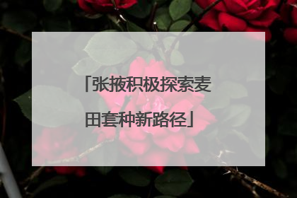 张掖积极探索麦田套种新路径