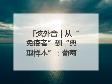 弦外音｜从“免疫者”到“典型样本”：葡萄牙极右翼崛起背后的欧洲困局