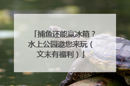 捕鱼还能赢冰箱？水上公园邀您来玩（文末有福利）
