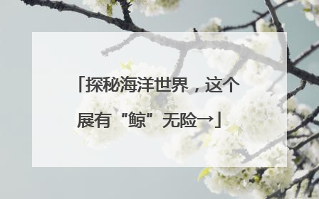探秘海洋世界，这个展有“鲸”无险→