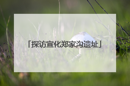 探访宣化郑家沟遗址