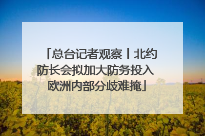 总台记者观察丨北约防长会拟加大防务投入 欧洲内部分歧难掩