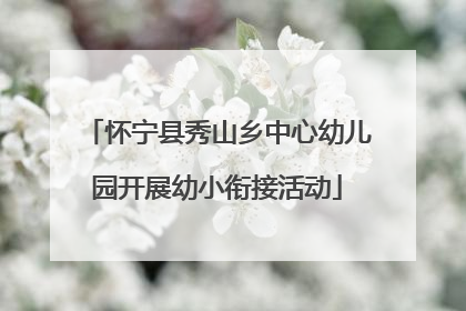 怀宁县秀山乡中心幼儿园开展幼小衔接活动
