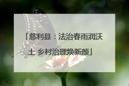 慈利县：法治春雨润沃土 乡村治理焕新颜