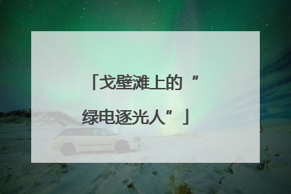 戈壁滩上的“绿电逐光人”