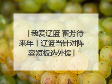 我爱辽篮 蓄芳待来年丨辽篮当针对阵容短板选外援