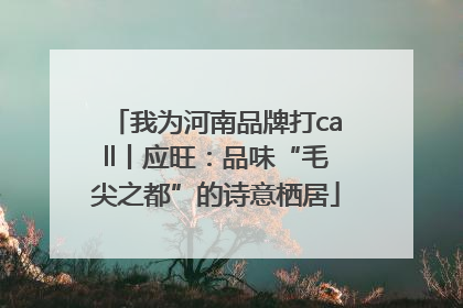 我为河南品牌打call丨应旺：品味“毛尖之都”的诗意栖居