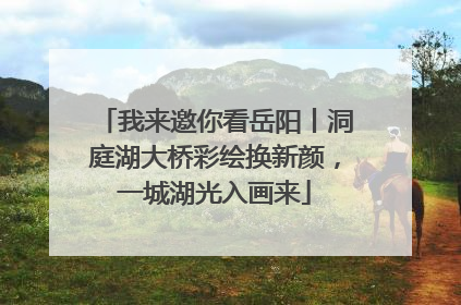 我来邀你看岳阳丨洞庭湖大桥彩绘换新颜，一城湖光入画来