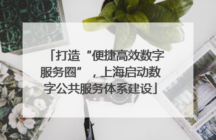 打造“便捷高效数字服务圈”，上海启动数字公共服务体系建设