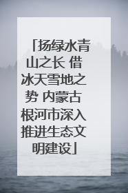 扬绿水青山之长 借冰天雪地之势 内蒙古根河市深入推进生态文明建设